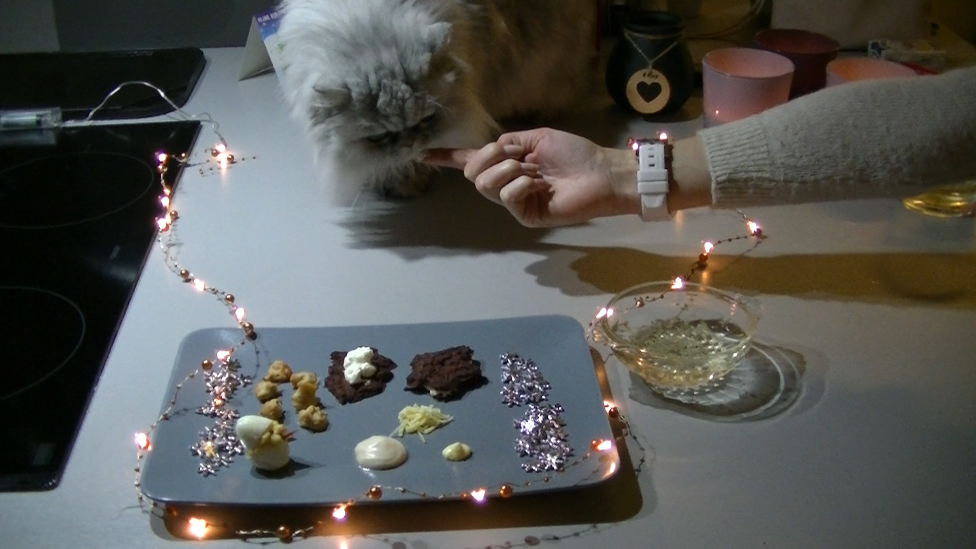 Silver de kat eet kattenvriendelijk kerstdiner